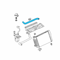 OEM 2000 Chevrolet Camaro Radiator Upper Hose Assembly Diagram - 10239870