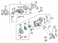 OEM Lincoln Nautilus Thermostat O-Ring Diagram - HL3Z-8255-A