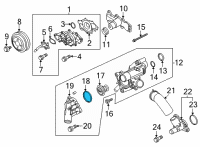 OEM 2021 Ford Ranger Thermostat O-Ring Diagram - HL3Z-8255-A