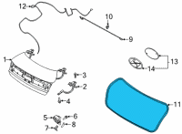 OEM Hyundai Sonata W/STRIP-Trunk Lid OPNG Diagram - 81061-L0000