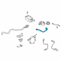 OEM 2019 Toyota Corolla Canister Hose Diagram - 77404-02300