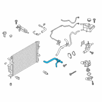 OEM 2016 Ford Fusion Upper Hose Diagram - DS7Z-8260-A