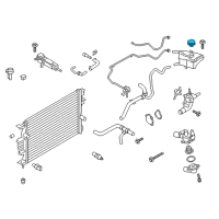 OEM Ford Fiesta Reservoir Cap Diagram - DG9Z-8100-A