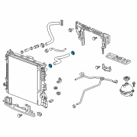 OEM Chevrolet Camaro Lower Hose Clamp Diagram - 11547681