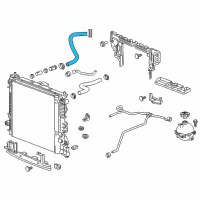 OEM 2020 Cadillac XT5 Lower Hose Diagram - 84006779