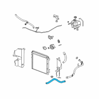 OEM 2006 Cadillac SRX Radiator Outlet Hose (Lower) Diagram - 19129967