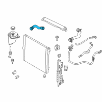 OEM 2018 BMW X5 Radiator Lower-Thermostat Hose Diagram - 17-12-8-517-969