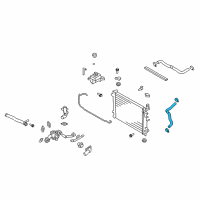 OEM 2009 Kia Rondo Hose-Radiator Lower Diagram - 254151D200