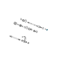 OEM 2012 Kia Sorento Nut-Castle Front Axle W Diagram - 4955121000