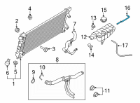 OEM 2020 Ford Expedition Overflow Hose Diagram - FL3Z-8075-C