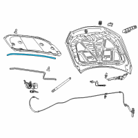 OEM 2014 Chevrolet SS Front Weatherstrip Diagram - 92264476