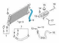 OEM 2022 Ford F-150 HOSE - RADIATOR Diagram - ML3Z-8260-A