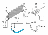 OEM 2022 Ford F-150 HOSE - RADIATOR Diagram - ML3Z-8286-A