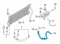 OEM 2022 Ford F-150 HOSE ASY Diagram - ML3Z-8C289-A