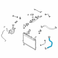 OEM 2012 Hyundai Veracruz Hose-Radiator Lower Diagram - 25412-3J100