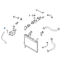 OEM 2007 Hyundai Veracruz Hose-Overflow Diagram - 25443-3J000