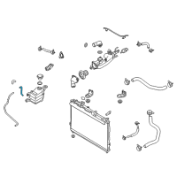 OEM 2010 Hyundai Veracruz Hose-Radiator To Reservoir Diagram - 25451-3J001