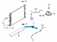 OEM 2022 Ford Maverick HOSE - RADIATOR Diagram - LX6Z-8260-W