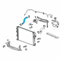 OEM Buick LaCrosse Lower Hose Diagram - 26223356