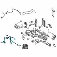 OEM 2016 Ford F-350 Super Duty Wire Harness Diagram - CC3Z-19D605-A