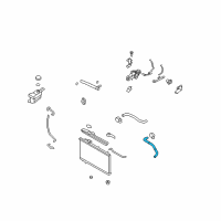 OEM Hyundai Santa Fe Hose-Radiator Lower Diagram - 25412-2B100