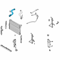 OEM 2005 BMW 325xi Lower Radiator Coolant Hose Diagram - 11-53-1-436-408