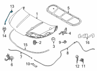 OEM Kia Carnival ROD ASSY-HOOD STAY Diagram - 81170R0000