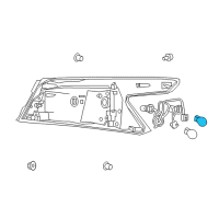 OEM Nissan Bulb Diagram - 26261-9B91C