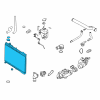 OEM 2014 Kia Sedona Radiator Assembly Diagram - 253104D970