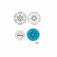 OEM 2015 Nissan Xterra Wheel Spare Diagram - 40300-ZP56A