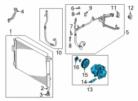 OEM Kia Carnival COMPRESSOR ASSY Diagram - 97701R0100