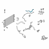OEM Ford Fusion Reservoir Hose Diagram - HG9Z-8075-B