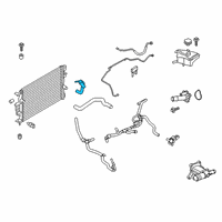 OEM 2019 Lincoln MKZ Lower Hose Diagram - HG9Z-8286-A