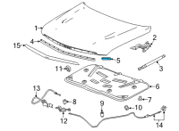 OEM 2022 Cadillac Escalade Front Weatherstrip Diagram - 84431086