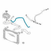 OEM 2004 Hummer H2 Overflow Hose Diagram - 15057995