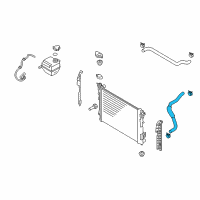 OEM 2011 Kia Sportage Hose-Radiator Lower Diagram - 254123W000