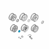 OEM Ford Expedition Center Cap Diagram - 7L1Z-1130-J