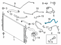 OEM Ford Transit-350 HOSE - OIL COOLER Diagram - LK4Z-7890-F