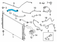 OEM Ford Transit-250 HOSE - RADIATOR Diagram - LK4Z-8260-G