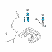 OEM 2015 BMW X6 Fuel Pump In Tank Pump And Filter Diagram - 16-11-7-212-585