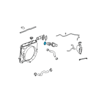 OEM 2004 Chevrolet Trailblazer Thermostat Housing O-Ring Diagram - 12561155