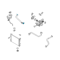 OEM 2001 Hyundai Santa Fe O-Ring Diagram - 25462-21010