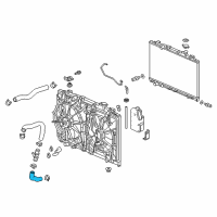 OEM Honda Odyssey Hose, Water (Lower) Diagram - 19502-5MR-A00