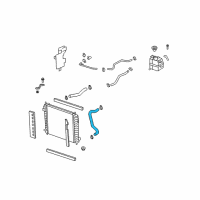 OEM 2008 Saturn Vue Radiator Outlet Hose (Lower) Diagram - 19130279