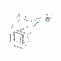 OEM 2010 Saturn Vue Water Pump Inlet Hose Diagram - 19130285