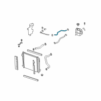 OEM Saturn Engine Coolant Recovery Tank Hose Diagram - 19130288