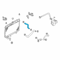 OEM 2005 Nissan Sentra Hose-Top Diagram - 21501-6Z700