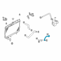 OEM 2004 Nissan Sentra Hose-Oil Cooler, Auto Transmission Diagram - 21631-4Z700