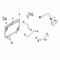 OEM 2006 Nissan Sentra Clip Diagram - 01555-00791