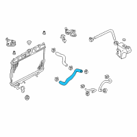 OEM 2006 Nissan Sentra Hose-Lower Diagram - 21503-6Z700